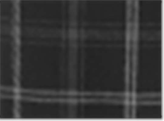 Swatch for Varsity Black Oxford Plaid