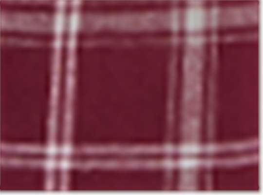 Swatch for Varsity Maroon Oxford Plaid