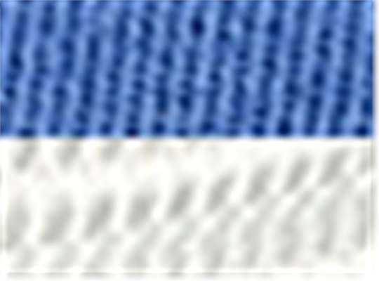 Swatch for Daylight Blue/ White