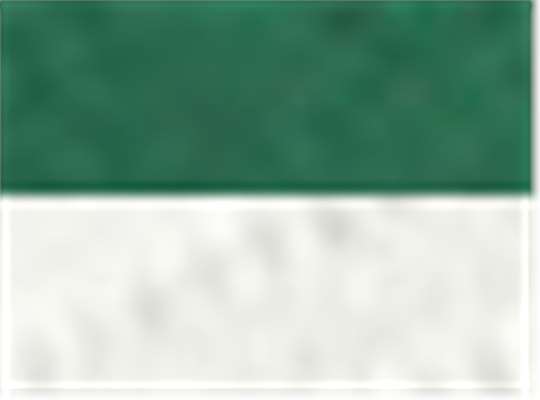 Swatch for Green/ White