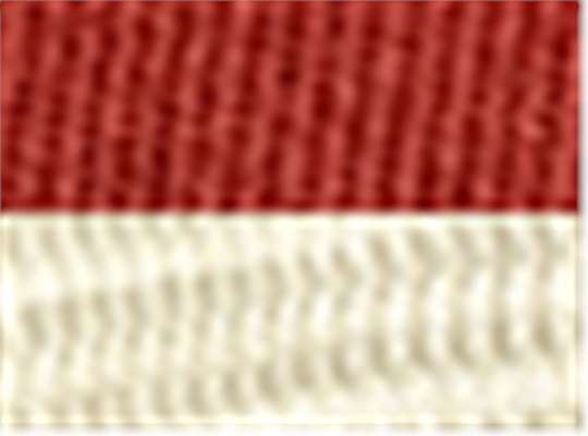 Swatch for Picante/ Oyster