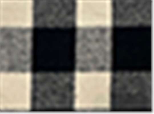 Swatch for Black/ Ecru Buffalo Plaid