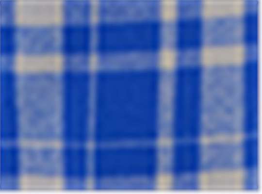 Swatch for Electric Royal Jordan Plaid