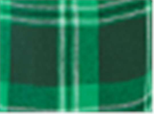 Swatch for Green Mcintosh Plaid