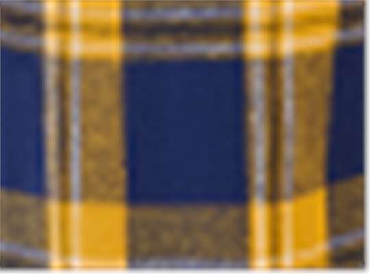 Swatch for Navy Gold Mcintosh Plaid