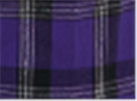 Swatch for Purple Mcintosh Plaid