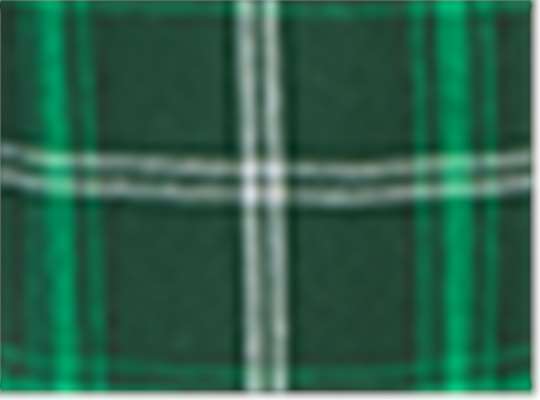 Swatch for Varsity Green White Plaid