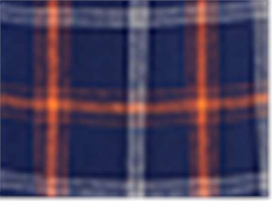 Swatch for Varsity Navy Orange Plaid
