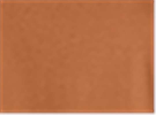 Swatch for Fan Texas Orange