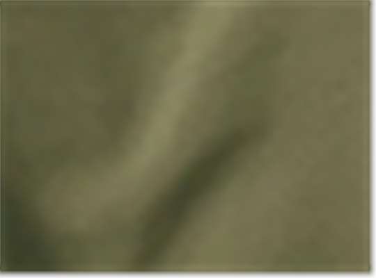 Swatch for Olive Drab