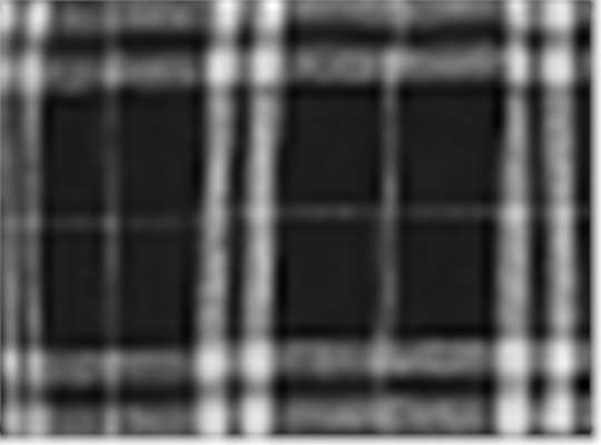 Swatch for Black/ White Plaid