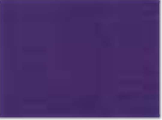 Swatch for Champion Purple