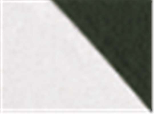 Swatch for White/ Forest Green