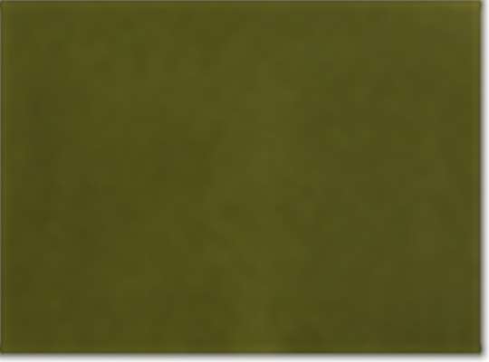 Swatch for Olive