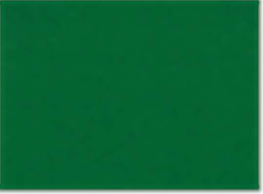 Swatch for Kelly