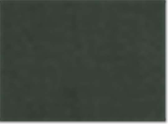 Swatch for Forest Green