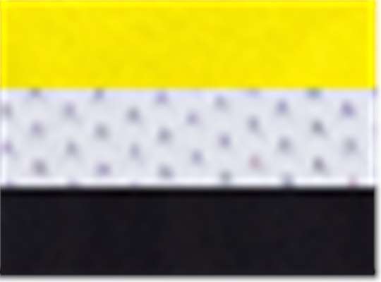 Swatch for Power Yellow/ White/ Black