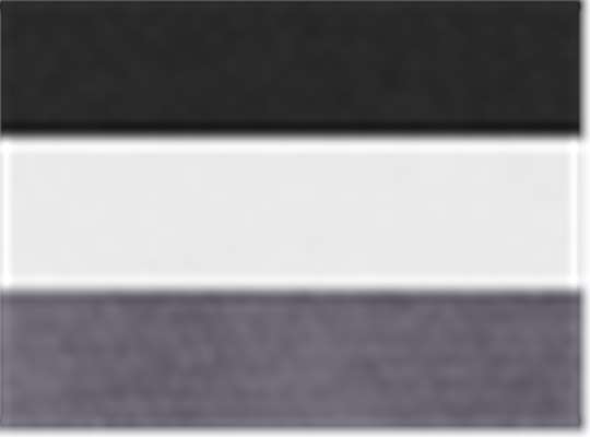Swatch for Black/ White/ Carbon