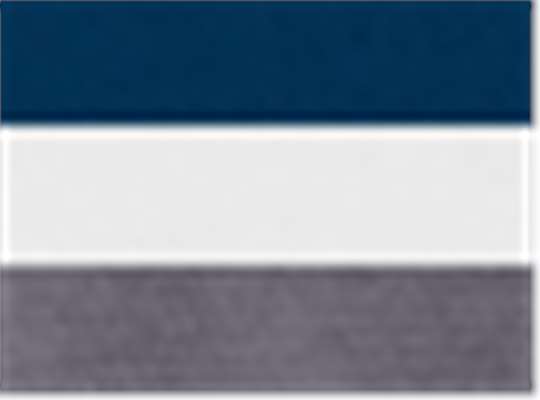 Swatch for Navy/ White/ Carbon
