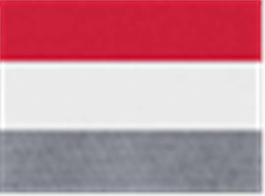 Swatch for Red/ White/ Graphite