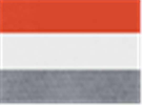 Swatch for Orange/ White/ Graphite