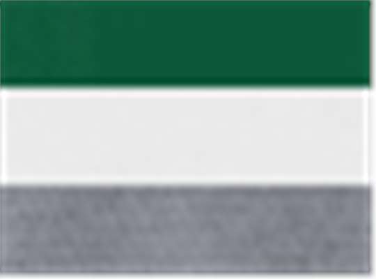 Swatch for Dark Green/ White/ Graphite
