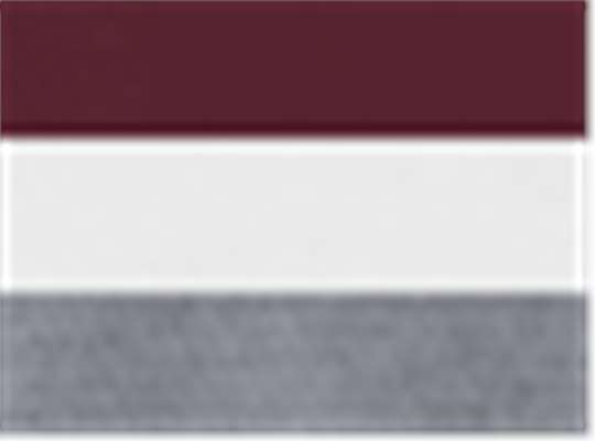 Swatch for Maroon/ White/ Graphite