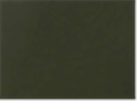 Swatch for Dark Olive