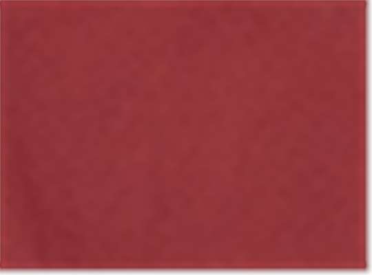 Swatch for Biking Red