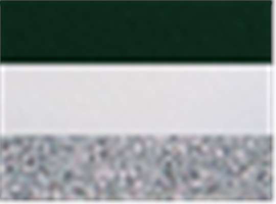 Swatch for Dark Green/ White/ Metallic Silver