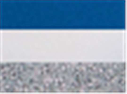 Swatch for Royal/ White/ Metallic Silver