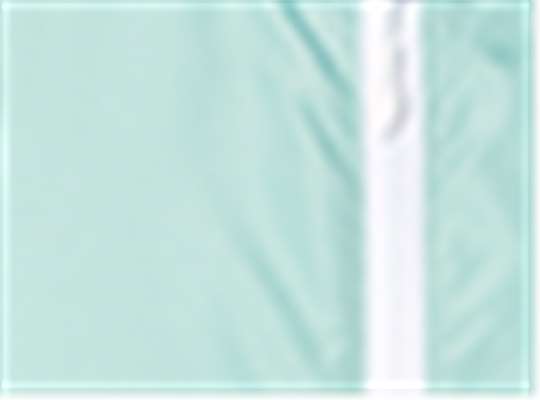 Swatch for Aqua/ White Zipper