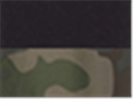 Swatch for Black/ Forest Camo