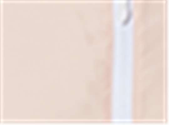 Swatch for Blush/ White Zipper