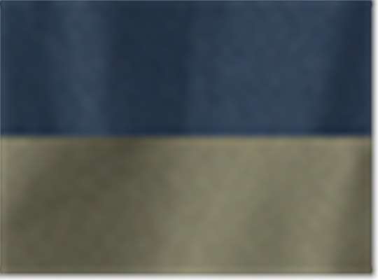 Swatch for Classic Navy/ Army