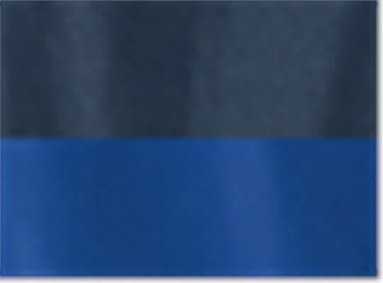 Swatch for Classic Navy/ Royal