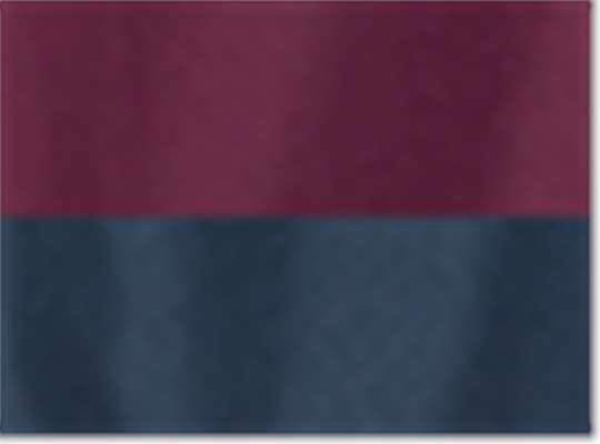 Swatch for Maroon/ Classic Navy