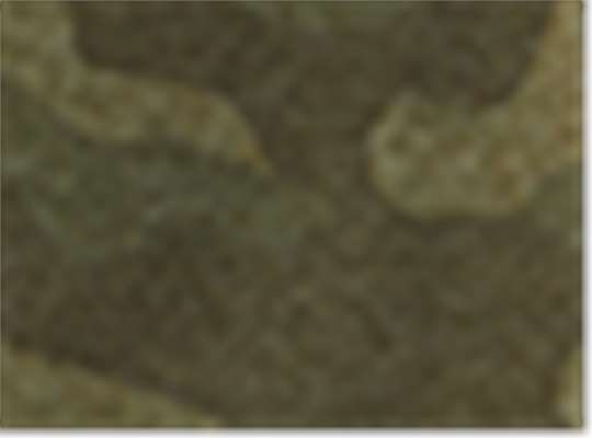 Swatch for Forest Camo Heather