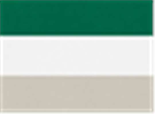 Swatch for Dark Green/ White/ Silver Grey