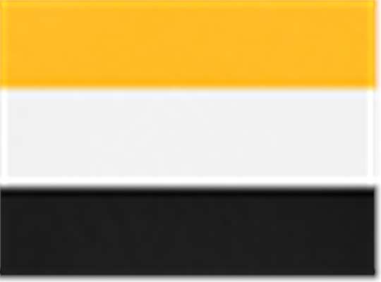 Swatch for Gold/ White/ Black