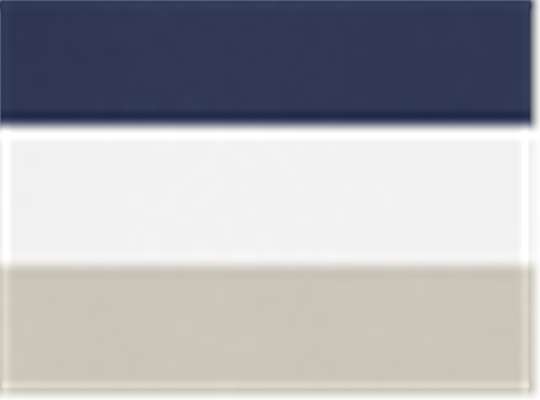 Swatch for Navy/ White/ Silver Grey