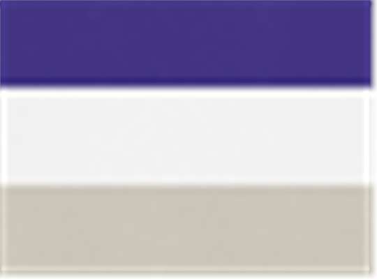 Swatch for Purple/ White/ Silver Grey