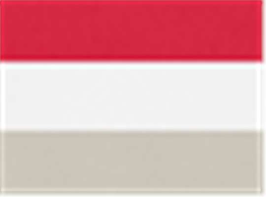 Swatch for Red/ White/ Silver Grey