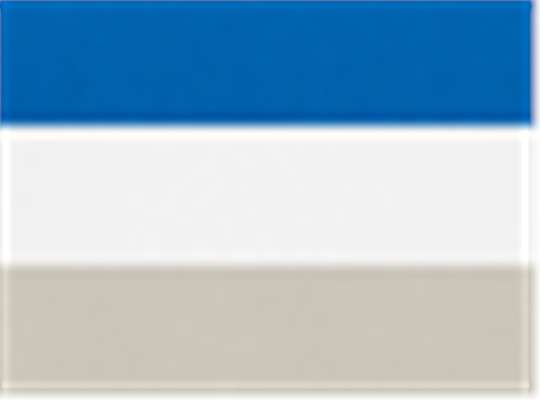 Swatch for Royal/ White/ Silver Grey