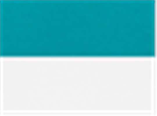 Swatch for Teal/ White