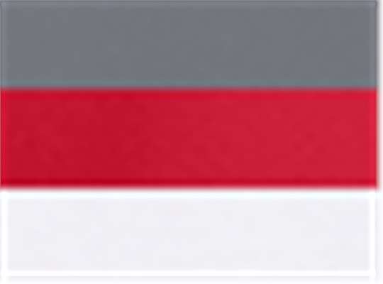 Swatch for Graphite/ Red/ White