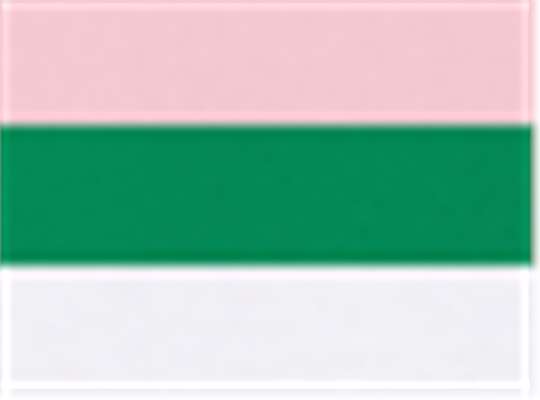 Swatch for Light Pink/ Kelly/ White