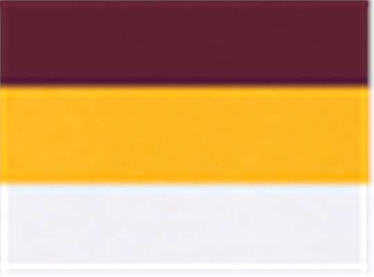 Swatch for Maroon/ Gold/ White