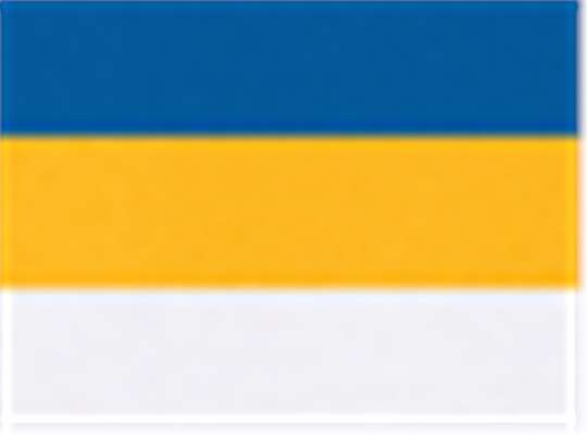 Swatch for Royal/ Gold/ White