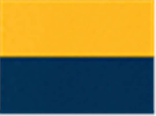 Swatch for Gold/ Navy